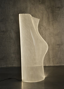 Post Modern Acrylic, Irregular Shape LED Lamps